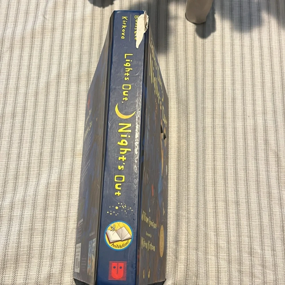 Lights Out, Night's Out: A Glow in the Dark Book (AniMotion) EUC